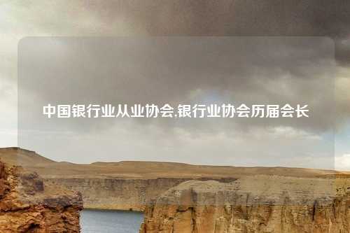 中国银行业从业协会,银行业协会历届会长