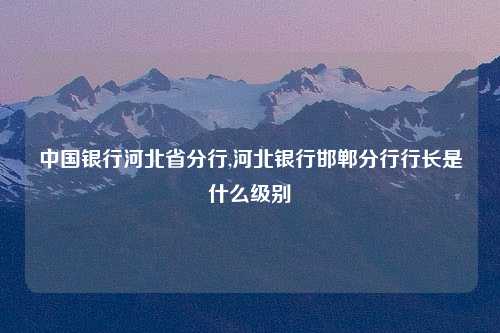 中国银行河北省分行,河北银行邯郸分行行长是什么级别