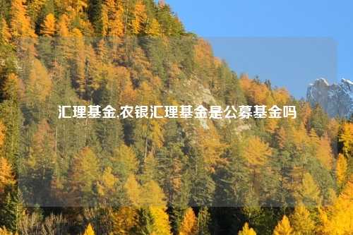 汇理基金,农银汇理基金是公募基金吗