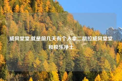 威风堂堂,就是前几天有个人拿二胡拉威风堂堂和极乐净土