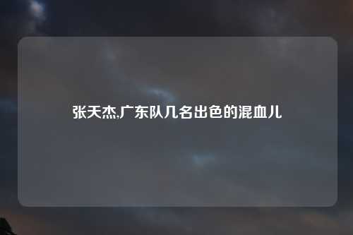 张天杰,广东队几名出色的混血儿