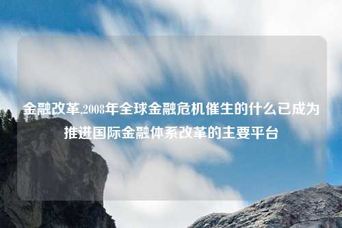 金融改革,2008年全球金融危机催生的什么已成为推进国际金融体系改革的主要平台