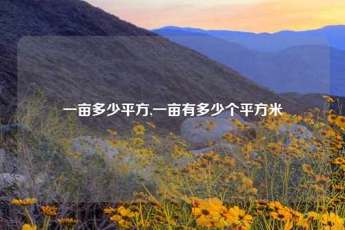 一亩多少平方,一亩有多少个平方米