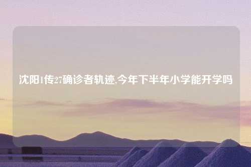 沈阳1传27确诊者轨迹,今年下半年小学能开学吗