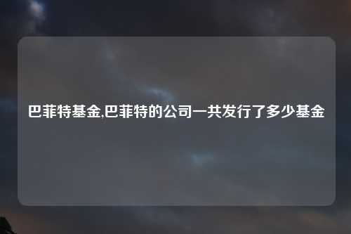 巴菲特基金,巴菲特的公司一共发行了多少基金
