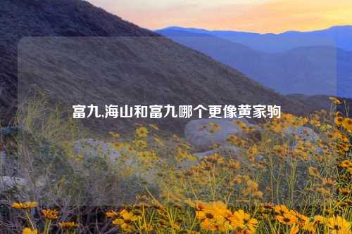富九,海山和富九哪个更像黄家驹