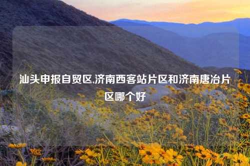 汕头申报自贸区,济南西客站片区和济南唐冶片区哪个好