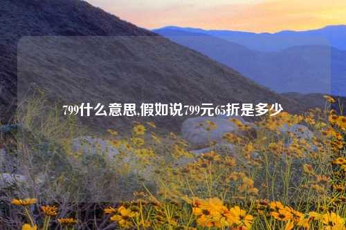 799什么意思,假如说799元65折是多少