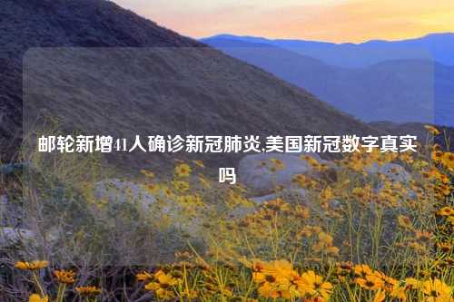 邮轮新增41人确诊新冠肺炎,美国新冠数字真实吗