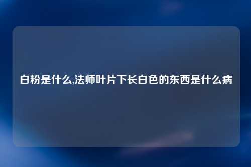 白粉是什么,法师叶片下长白色的东西是什么病