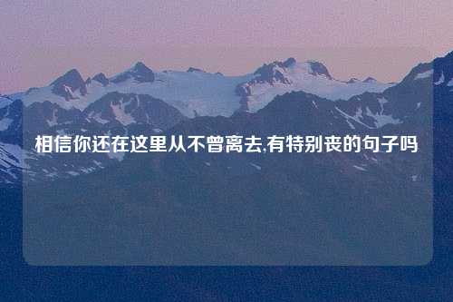 相信你还在这里从不曾离去,有特别丧的句子吗