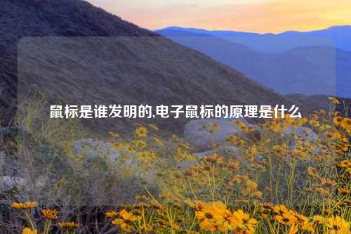 鼠标是谁发明的,电子鼠标的原理是什么