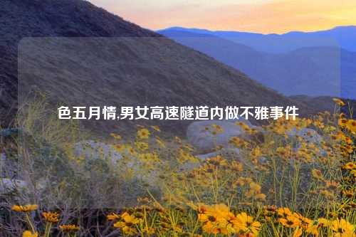 色五月情,男女高速隧道内做不雅事件