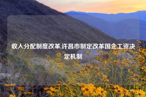 收入分配制度改革,许昌市制定改革国企工资决定机制