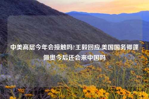 中美高层今年会接触吗?王毅回应,美国国务卿蓬佩奥今后还会来中国吗