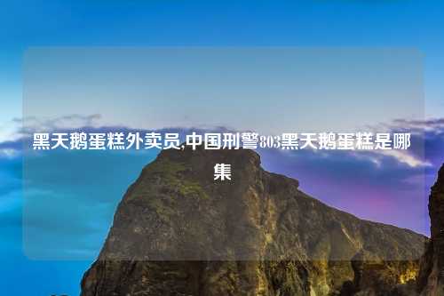 黑天鹅蛋糕外卖员,中国刑警803黑天鹅蛋糕是哪集