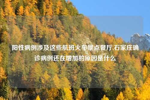阳性病例涉及这些航班火车景点餐厅,石家庄确诊病例还在增加的原因是什么