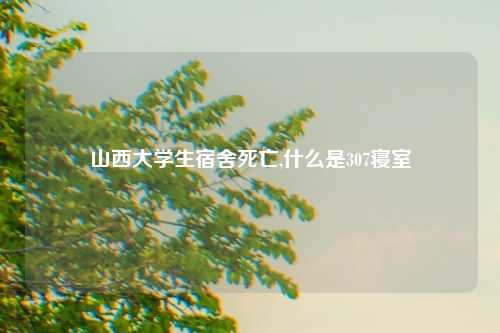 山西大学生宿舍死亡,什么是307寝室
