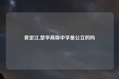 袁定江,楚华高级中学是公立的吗