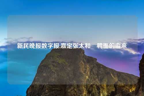 新民晚报数字报,嘉定张太和爊鸭面的由来