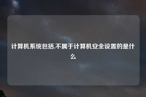 计算机系统包括,不属于计算机安全设置的是什么