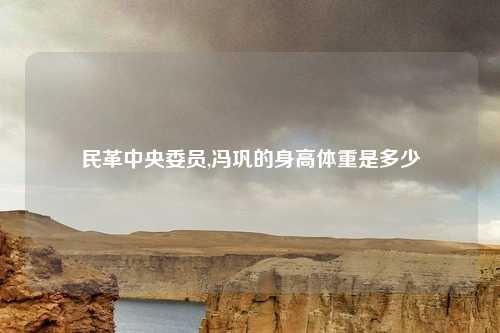 民革中央委员,冯巩的身高体重是多少