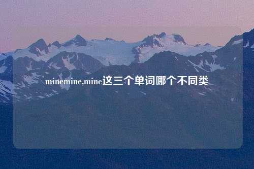 minemine,mine这三个单词哪个不同类