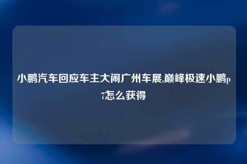 小鹏汽车回应车主大闹广州车展,巅峰极速小鹏p7怎么获得