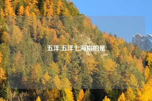五洋,五洋七海指的是