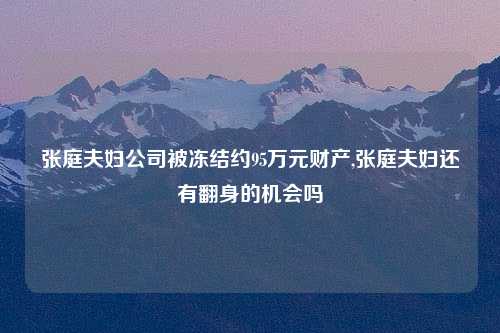 张庭夫妇公司被冻结约95万元财产,张庭夫妇还有翻身的机会吗