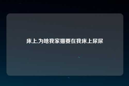 床上,为啥我家猫要在我床上尿尿