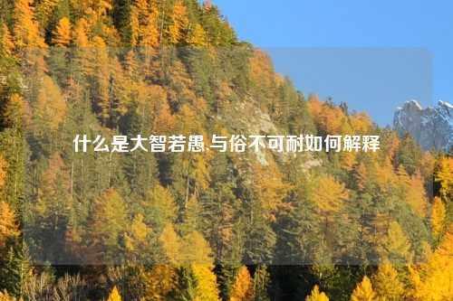 什么是大智若愚,与俗不可耐如何解释