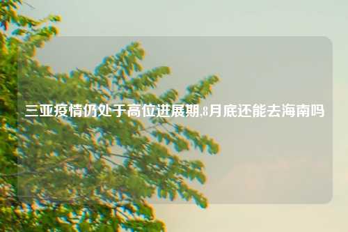 三亚疫情仍处于高位进展期,8月底还能去海南吗