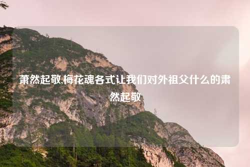 萧然起敬,梅花魂各式让我们对外祖父什么的肃然起敬