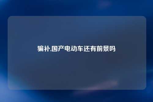 骗补,国产电动车还有前景吗