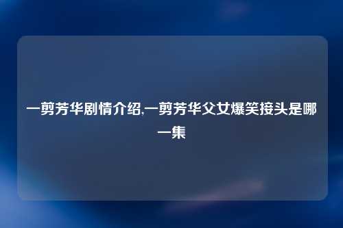 一剪芳华剧情介绍,一剪芳华父女爆笑接头是哪一集