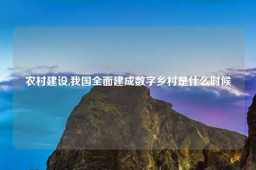 农村建设,我国全面建成数字乡村是什么时候
