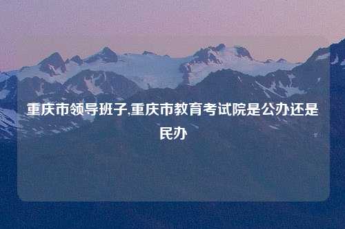 重庆市领导班子,重庆市教育考试院是公办还是民办