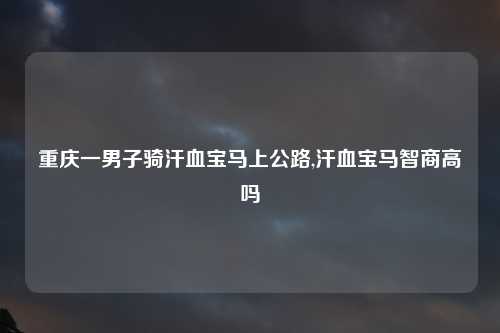 重庆一男子骑汗血宝马上公路,汗血宝马智商高吗
