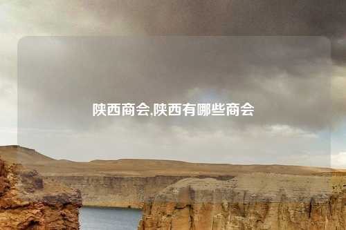 陕西商会,陕西有哪些商会