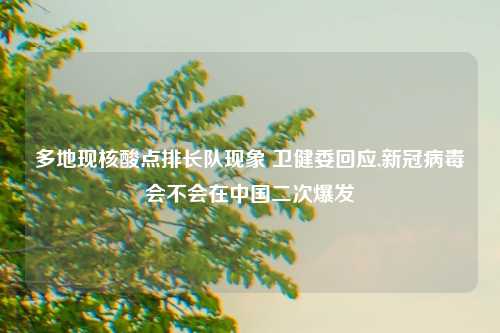 多地现核酸点排长队现象 卫健委回应,新冠病毒会不会在中国二次爆发