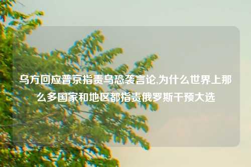 乌方回应普京指责乌恐袭言论,为什么世界上那么多国家和地区都指责俄罗斯干预大选
