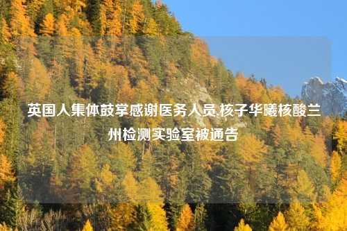 英国人集体鼓掌感谢医务人员,核子华曦核酸兰州检测实验室被通告