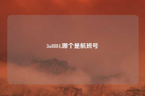 3u8884,哪个是航班号