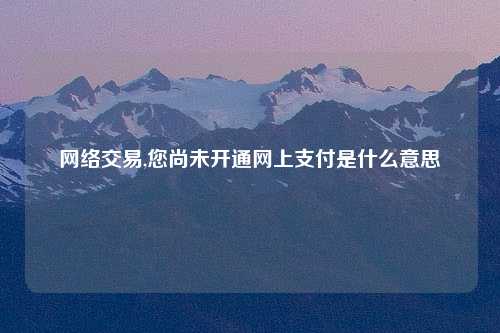 网络交易,您尚未开通网上支付是什么意思
