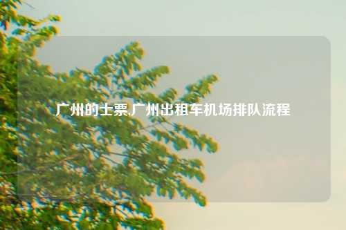 广州的士票,广州出租车机场排队流程