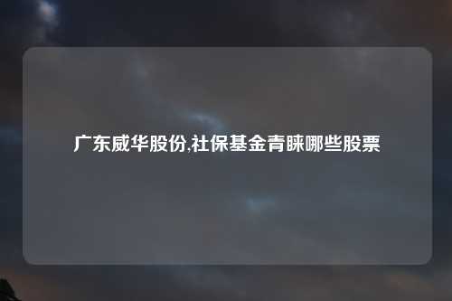 广东威华股份,社保基金青睐哪些股票