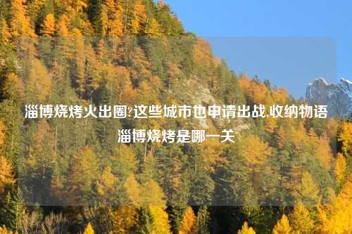 淄博烧烤火出圈?这些城市也申请出战,收纳物语淄博烧烤是哪一关