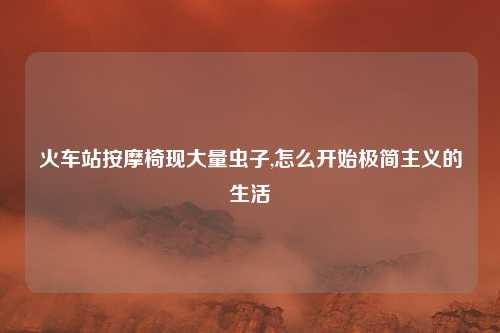 火车站按摩椅现大量虫子,怎么开始极简主义的生活