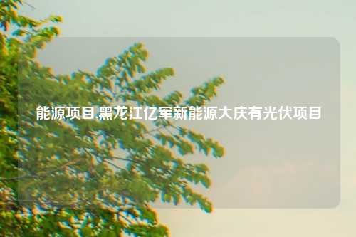能源项目,黑龙江亿军新能源大庆有光伏项目
